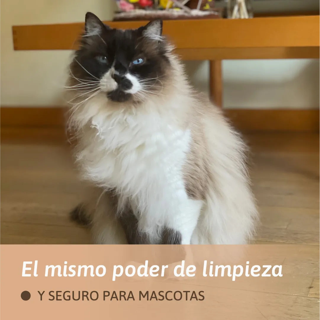 Limpia pisos - 30 Lavados - Jazmín