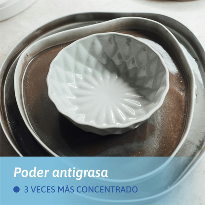 Lavavajillas a mano en polvo
